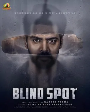 Blind Spot 2025 Dual Audio WEB-DL | Hindi Full Movie
