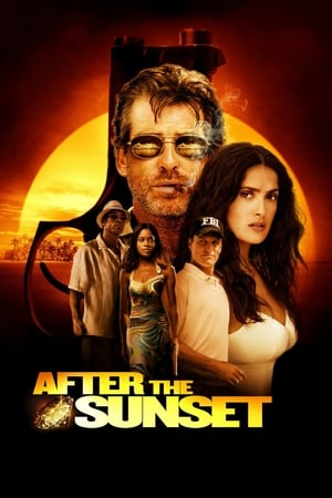 After The Sunset (2004) Dual Audio | Hindi Full Movie BluRay 320MB