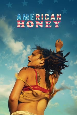 American Honey (2016) Dual Audio | Hindi Full Movie BluRay [1.4GB]