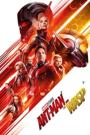 Ant Man and the Wasp (2018) (Org) Dual Audio | Hindi Full Movie BluRay [1.1GB]
