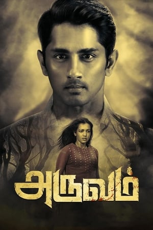 Aruvam (2019) ( – Tamil) Dual Audio | Hindi Full Movie UnCut HDRip 400MB