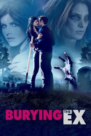 Burying the Ex 2014 (HQ Dubbed) | Hindi Full Movie HDRip [830MB]