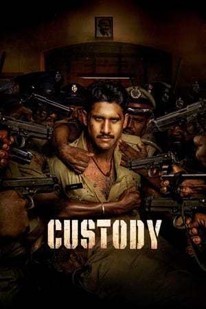 Custody 2023 (HQ-Dub) Dual Audio HDRip | Hindi Full Movie – 480p