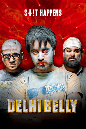 Delhi Belly 2011 Full Movie | Hindi Full Movie DVDRip [300MB]