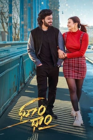 Dhoom Dhaam 2024 Telugu Dubbed CAMRip | Hindi Full Movie