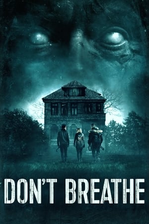 Don't Breathe (2016) Dual Audio | Hindi Full Movie BluRay 300MB