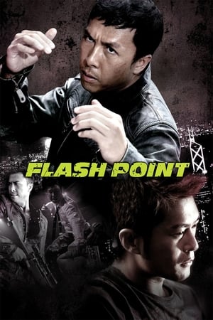Flash Point (2007) Dual Audio | Hindi Full Movie BluRay [1GB]