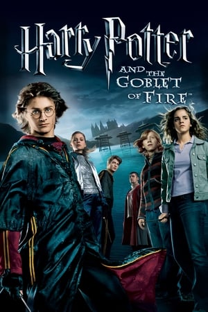Harry Potter and the Goblet of Fire (2005) 100MB Dual Audio [-Enlish]