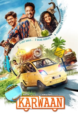 Karwaan (2018) Movie | Hindi Full Movie HDRip x264 [900MB]