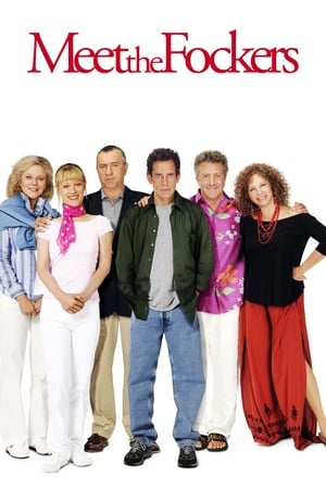 Meet the Fockers (2004) Dual Audio | Hindi Full Movie BluRay 380MB
