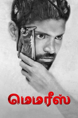 Memories 2023 Dual Audio WEB-DL | Hindi Full Movie