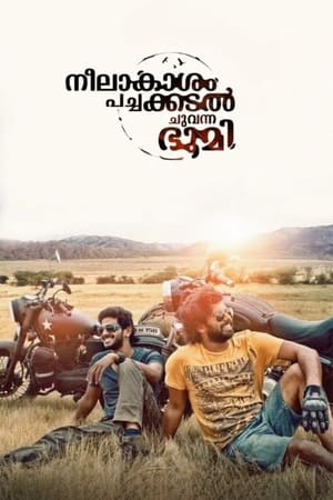 Neelakasham Pachakadal Chuvanna Bhoomi (2013) Dubbed | Hindi Full Movie HDRip 450MB