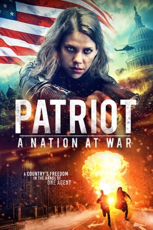 Patriot A Nation at War 2020 Dual Audio | Hindi Full Movie Web-DL 300MB
