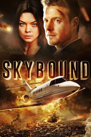 Skybound (2017) Dual Audio | Hindi Full Movie BluRay [1.2GB]
