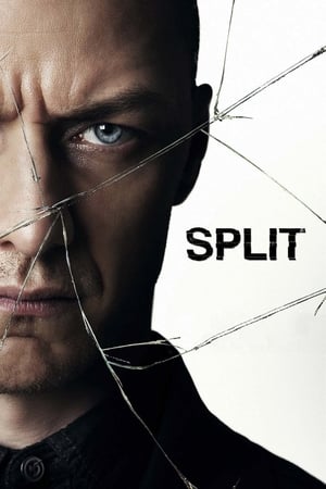 Split (2016) Movie HC HDRip | Hindi Full Movie [900MB] Download