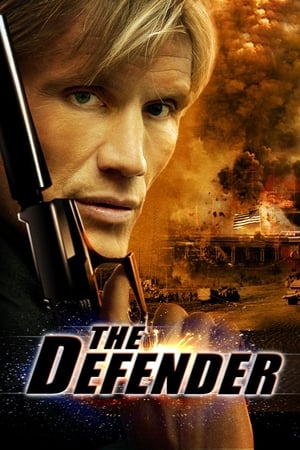 The Defender (2004) Dual Audio | Hindi Full Movie BluRay 300MB