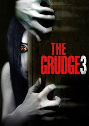 The Grudge 3 2009 Dual Audio | Hindi Full Movie Web-DL 300MB