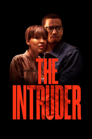 The Intruder (2019) Dual Audio | Hindi Full Movie HDRip 350MB