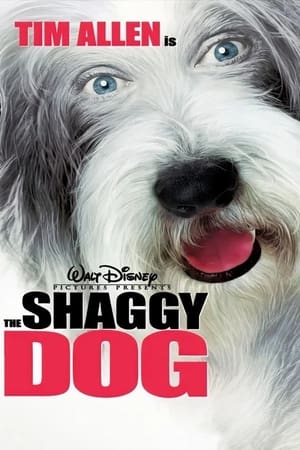 The Shaggy Dog (2006) Dual Audio | Hindi Full Movie BluRay 300MB