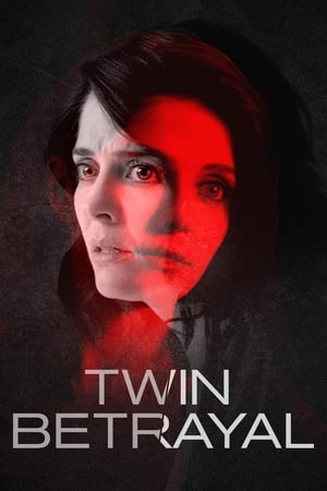Twin Betrayal (2018) Dual Audio | Hindi Full Movie HDRip 390MB