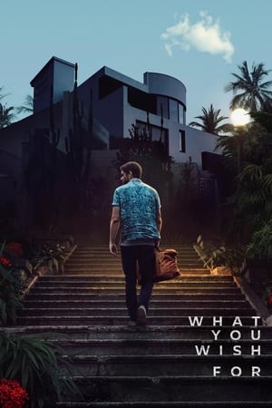 What You Wish For 2023 Dual Audio HDRip | Hindi Full Movie – 480p – 1080p