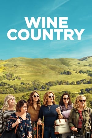 Wine Country (2019) Dual Audio | Hindi Full Movie Web-DL 350MB